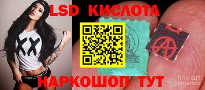 прущие крисы Кандалакша